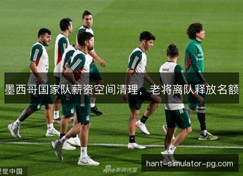 墨西哥国家队薪资空间清理,老将离队释放名额 墨西哥国家队薪资空间清理,老将离队释放名额